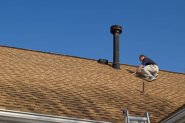 Best Roof Moss and Algae Removal  in , NE